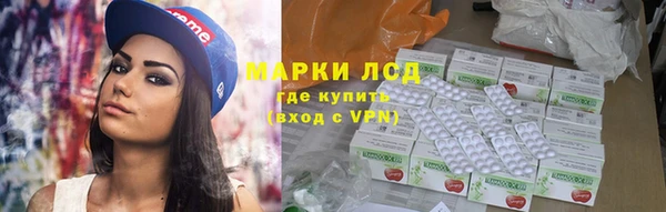 СК Кукмор