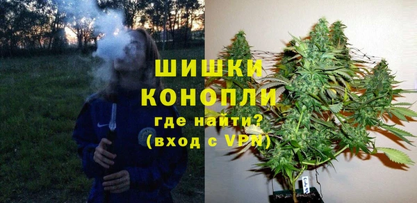 мдпв Кулебаки