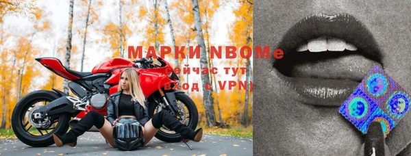 СК Кукмор