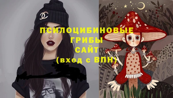 мдпв Кулебаки