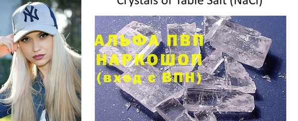 СК Кукмор