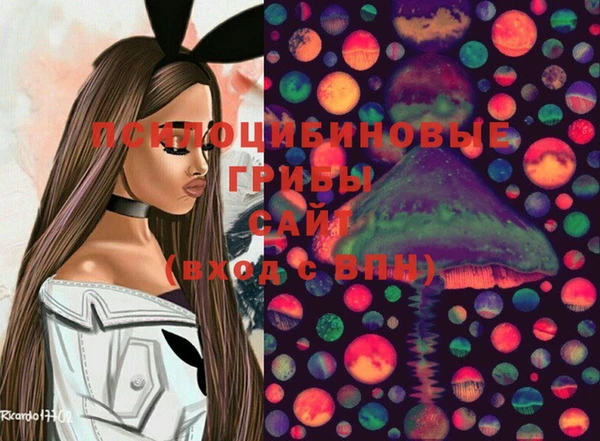 СК Кукмор