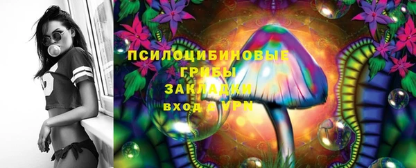 мдпв Кулебаки