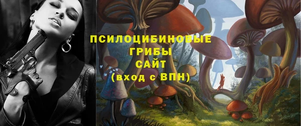 мдпв Кулебаки