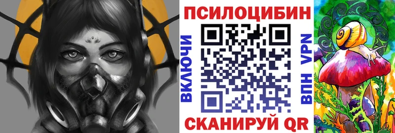Галлюциногенные грибы Psilocybe Абакан