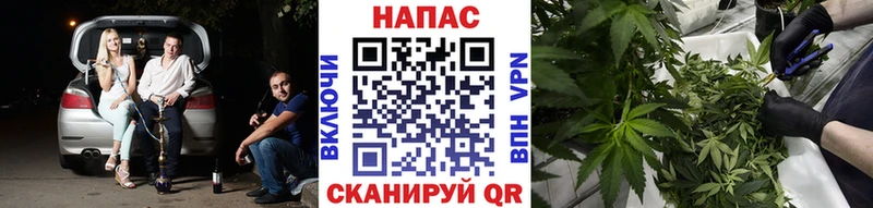 Канабис White Widow  купить наркотик  Абакан 